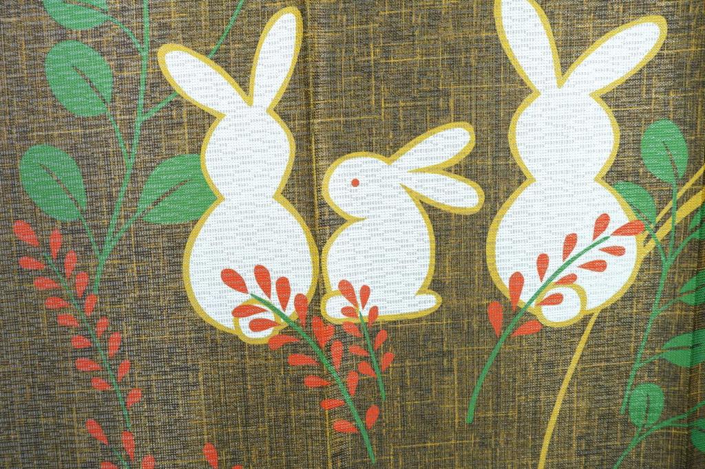 Arie Noren Room Privacy Flame Japanese Rabbit 82cm Wide X 150cm Product 727240 Curtain, Divider, Screen, Retardant, Long, Stylish, Style, Design,