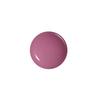 JUNG SAEM MOOL Lip Pressure Metal Serum Gloss (Single/Planned)