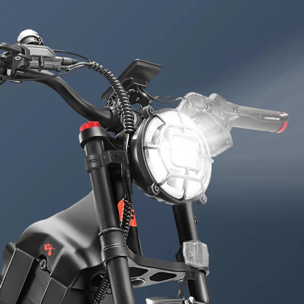 Romeo PRO Schwarz/Grün 1200W Motorleistung 48V60AH Akku 26 * 4.0-Zoll Reifen Ximano 7-Gang Daumengas mit Blinker Elektrofahrrad