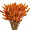 Rabbit Tail Grass Dried Flower Bouquet Home Decoration Flower Arrangement Dog Tail Grass Dried Flower Rabbit Tail Grass