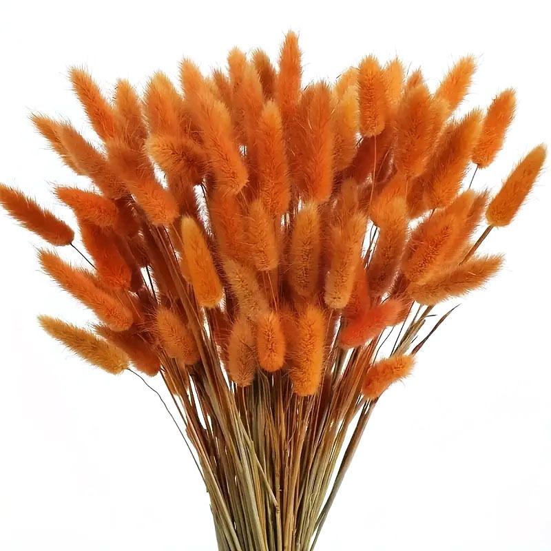 Rabbit Tail Grass Dried Flower Bouquet Home Decoration Flower Arrangement Dog Tail Grass Dried Flower Rabbit Tail Grass
