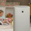 Sharp KI-N52EU-L Air Purifier with Humidifier