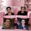 American Actor D-Dylan O Brien Pillow Case Anti-Dustmite Pillow Invisible Zipper Silky Short Plush Sofa Cushion Cover