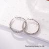 Silver Needle Circle Earrings, Fashionable High-End Copper Ear Hoops, Light Luxury, Versatile Jewelry Accessory.