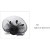 Top Hat Mesh Ladies Hair Accessories Headband Banquet Annual Party Evening Cheongsam