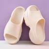 Platform Slippers Women's Summer New Fashion Outer Wear Heightening Cool Slippers Beach Fashion High Heel One-word Drag Women