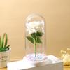Valentine's Day Immortal Flower Glass Cover Gold Foil Rose Romantic Bouquet Ornament Couple New Year Birthday Gift