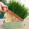 Removable Cat Grass Planter Box Layered Design Hydroponic Cat Grass Box  Home Decor