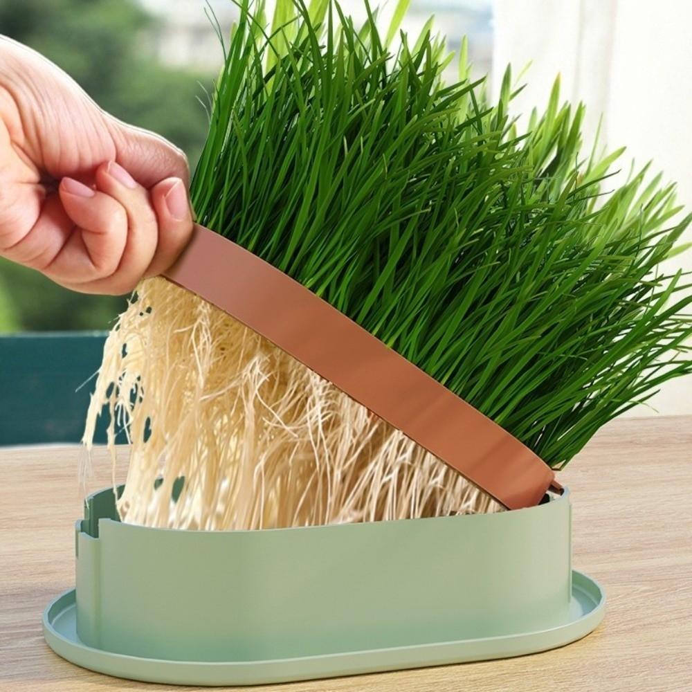 Removable Cat Grass Planter Box Layered Design Hydroponic Cat Grass Box  Home Decor