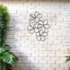 Vintage Plumeria Metal Wall Art Iron Mural Statue Home Decor Gift