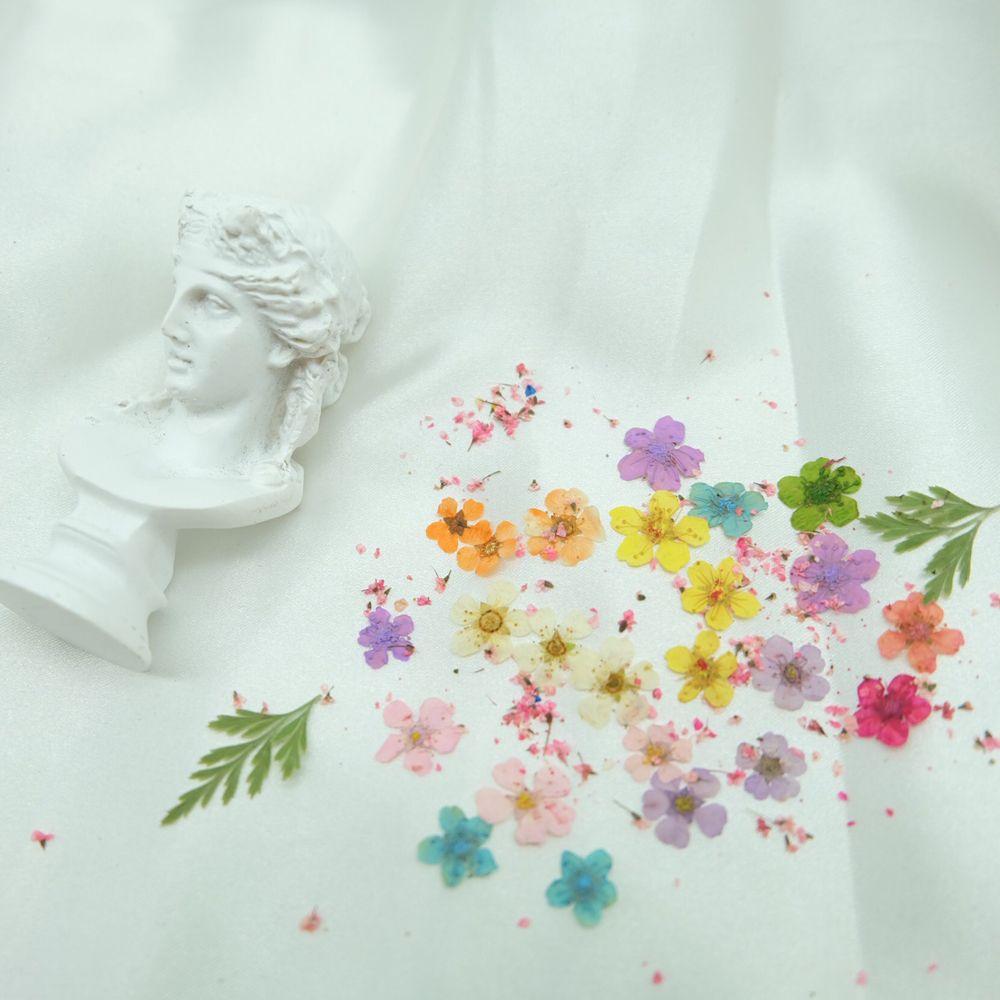 Pressed Flower 3D Nail Art Decorations Manicure Accessories Nail Art Dried Flower DIY Nail Decals