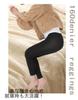 Warm 160 Full Length [Liapom] Fleece-Lined Leggings, Denier, Women's Tights, (JM-L)