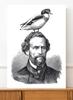Portrait Poster with a Bird On the Head