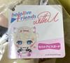 Hololive Friends U Fuwawa Mococo Fuwamoco Plush Doll Set 2 Japan