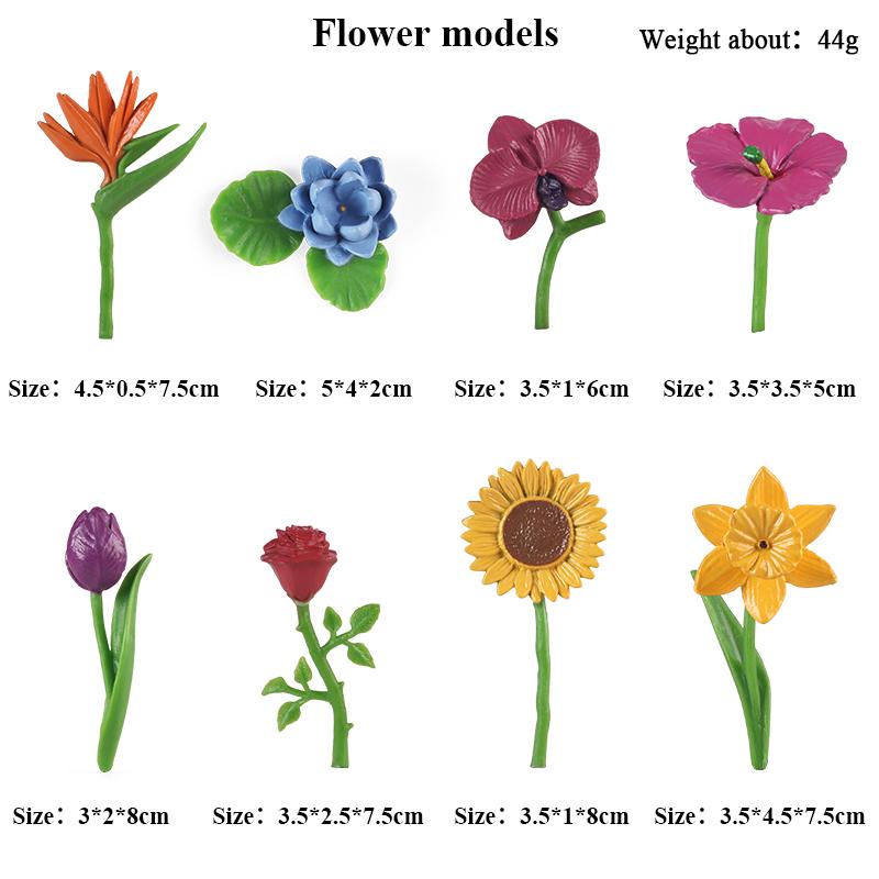 Oenux Montessori Tool Organ Vegetable Fruit Animals Brinquedo Model Action Figure Figurines Miniature Education Kid Toy Gift