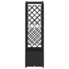 Elevated Planter with Trellis and Hanging Roof Black 164 x 40 x 142 cm PP