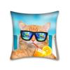 Double Sided Cartoon Cat Pillow Case Anime Animal Small Gift for Friends and Pop Culture Lovers Present