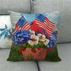 Flag Symbolizing The Bald Eagle In The United States Digital Printing Short Plush Pillow Covers For Sofa Office Cushion Cover