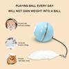 Self-Rolling Glowing Ball Toys For Cat Rechargeable Interactive Pet Toys Pets Supplies