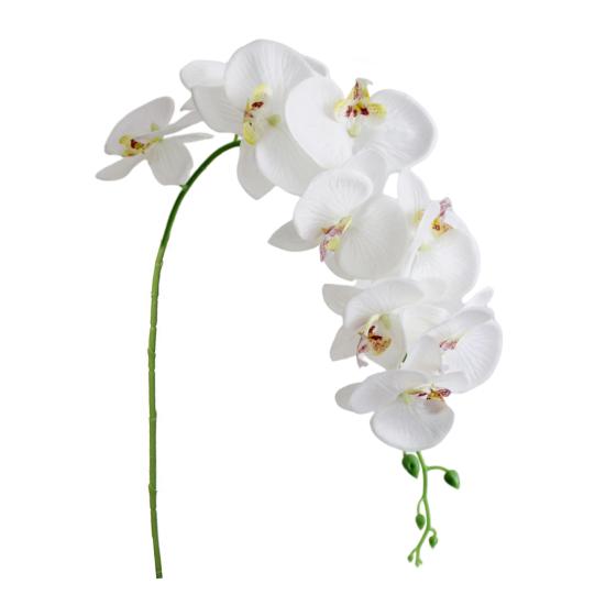 Falešná květina Real Touch Krásné 5 barev Skvělé svatební Phalaenopsis Party květinová ozdoba pro obývací pokoj