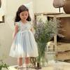 Size S/M/L 26 Summer Blue Princess Puffy Dress with Small Wings - Girls' Formal Birthday Dress