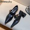 Designerskie buty Vintage Silvery Pointed Toe damskie Mary Jane Fashion Płytkie, swobodne, niskie obcasy