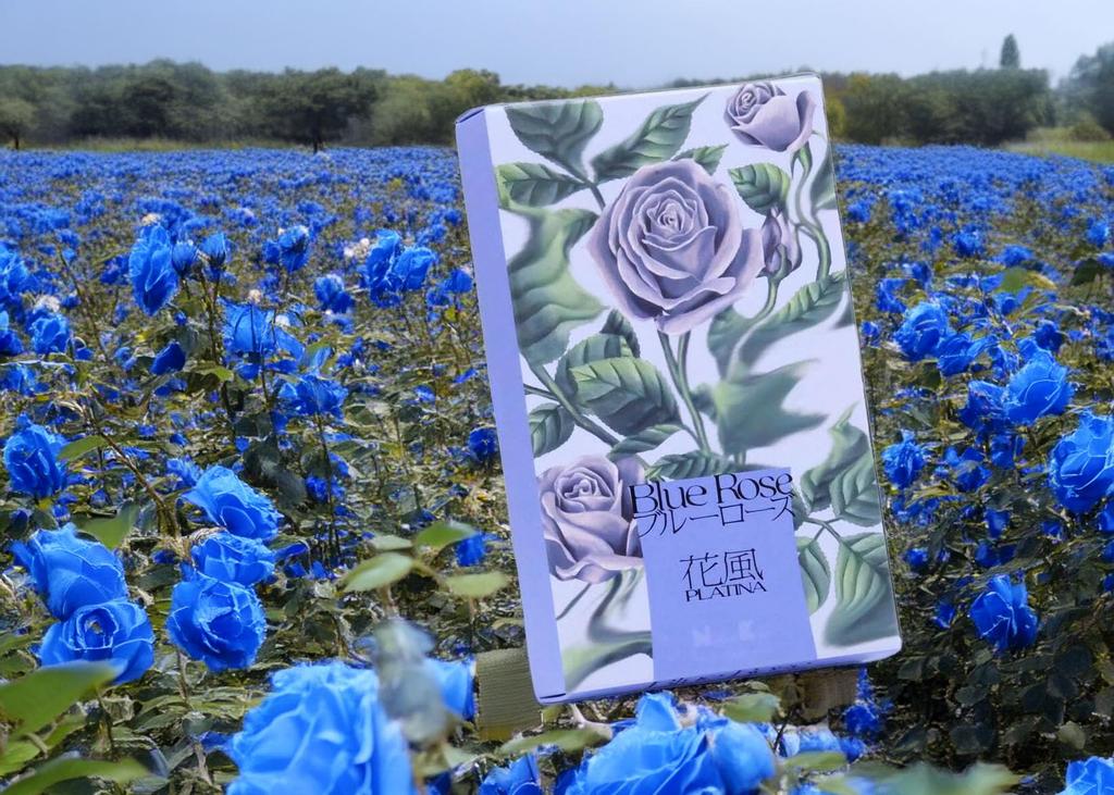 Hanakaze Platinum Blue Rose Incense Sticks (100g, Large Rose)