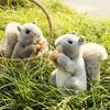 Simulation Hold Hazelnut Squirrel Plush Toy Stuffed Lifelike Big Tail Squirrel Plushies For Kids Birthday Gift Garden Decor DOll