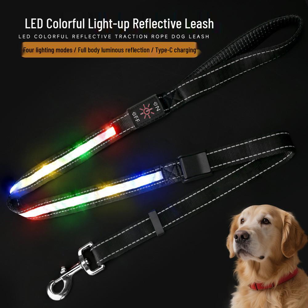 Guinzaglio per Cani Riflettente con LED USB: Impermeabile, Anti-smarrimento, Ricarica Type-C