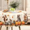 Cute Little Squirrel With Golden Pumpkin, Pastoral Waterproof Tablecloth Between Maple Leaves And Acorns Thanksgiving Decoration