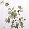Eucalyptus Money Leaf Artificial Plant for Home Decoration