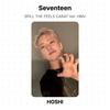 Seventeen SPILL THE FEELS CARAT Ver. HMV Official Photocard