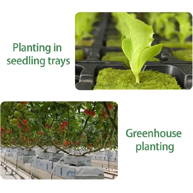 Professional Rock Wool Block Set for Hydroponic Farming and Gardening Applications
