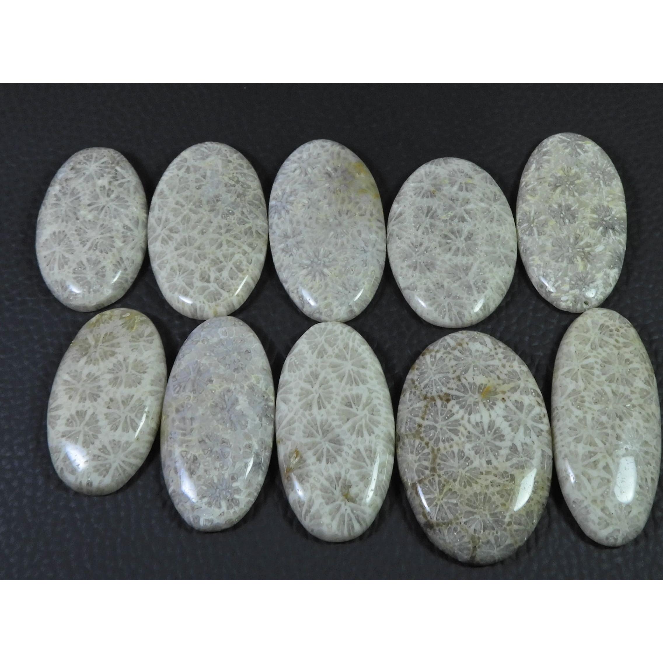 320Cts. Natural Fossil Coral Oval Cabochon Loose Gemstone 10Pcs Lot C-1901