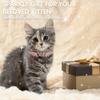 1pc Pet Collar with Rhinestone Heart & Bell Decoration, Cat Collar