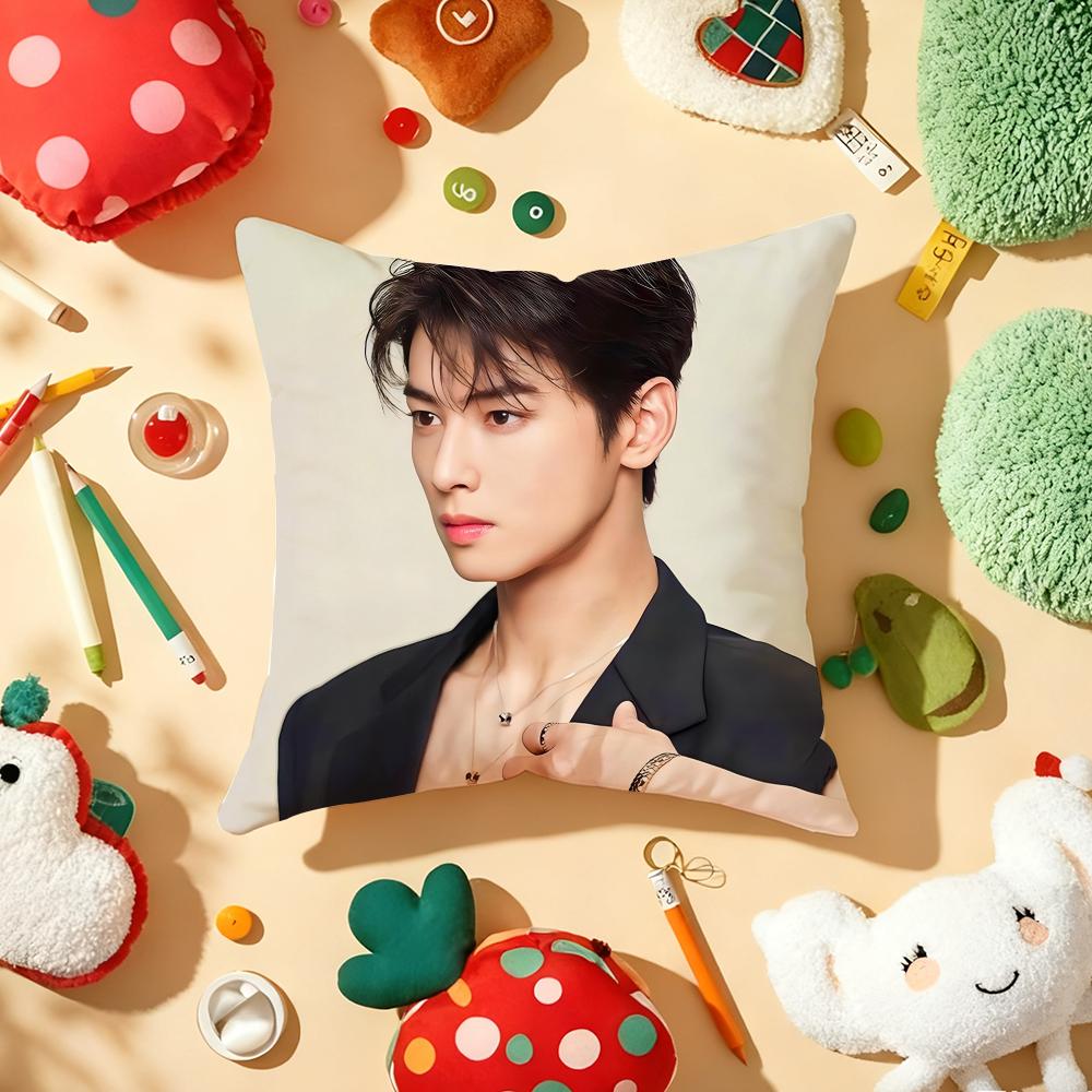 Kpop Singer Cha EEun WWoo Cushion Cover Plush Fabric Soft DoubleSided Printed Sofa Warm Winter Home Gift Pillow Cover