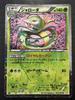 Pokémon Trading Card Serperior Shiny Collection Condition 003/020/[A]