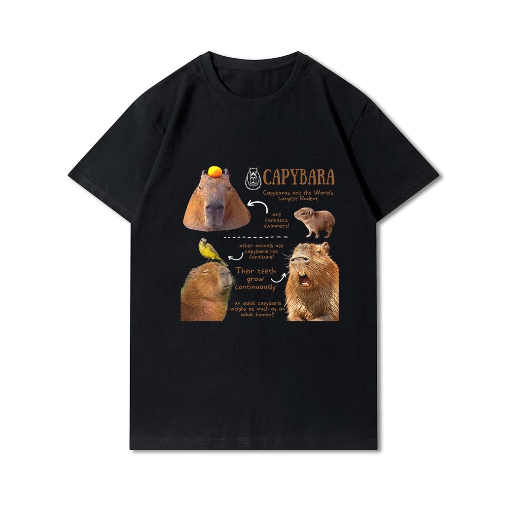 Velká velikost S-5XL Kapybara s předním potiskem Unisex trička s kulatým výstřihem Bavlněné topy Ležérní trička