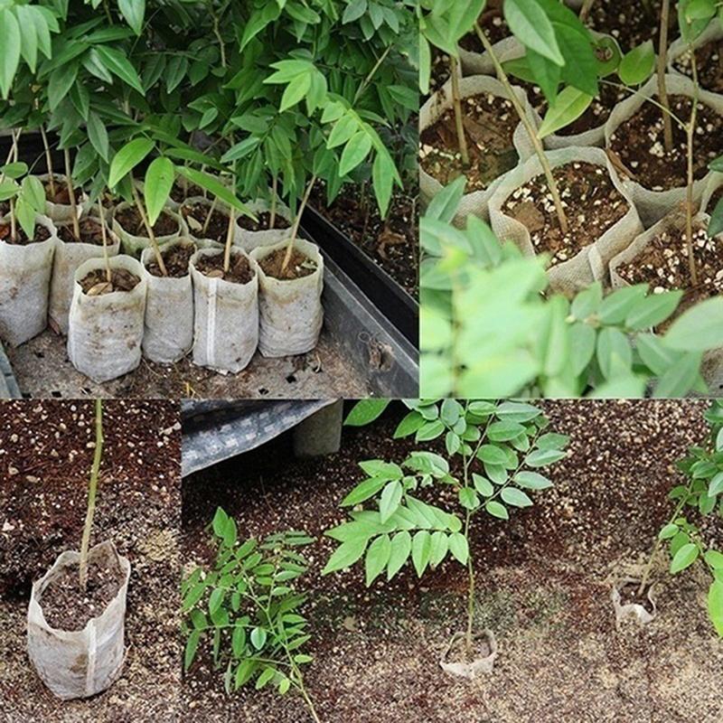 100Pcs Seedling Plants Nursery Bags Organic Biodegradable Grow Bags Eco Friendly
