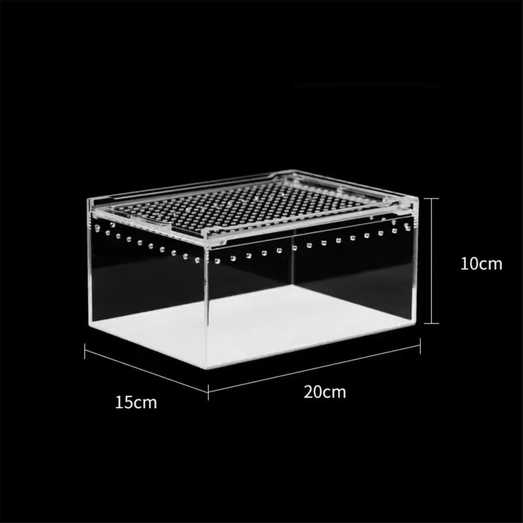 Reptile water tank reptile fence transparent acrylic feeding box reptile container reptile glass tank small feeding box 20*15*10cm