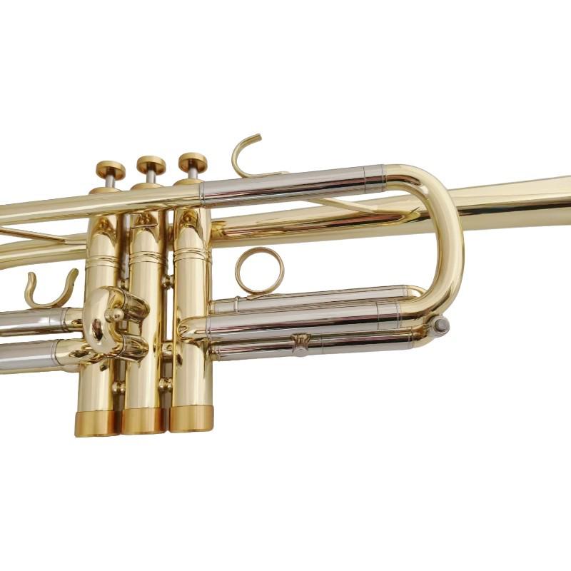 Heavy-Duty C Key Brass Instrument: Two-Color, Flexible Keys, Easy to Play for Adults, Beginners & Professionals