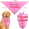 Cute Pink Blue Pet Birthday Woof Balloon Banner Hats Saliva Towels Cake Bow Tie Sets Dog Birthday Party Decorations