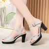 New 35-41 Women Sandals Woman Summer 2024 Female Dress High Heel Shoes Platform Sandal Designer Shoes Women Luxury High Quality
