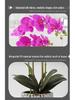 Phalaenopsis Artificial Flower Arrangement in Ceramic Pot – Decorative Faux Orchid for Living Room