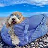 Portable Multi-Purpose Pet Car Bed for Small and Medium Dogs