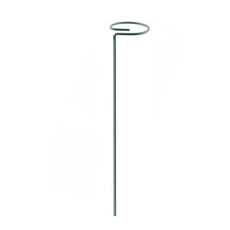 Garden Plant Climbing Support - Round Metal Bracket for Indoor/Outdoor Use
