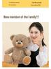 Romi Teddy Bear: Adorable Plush Toy for Kids' Birthdays, Girls' Hugs, and Companionship