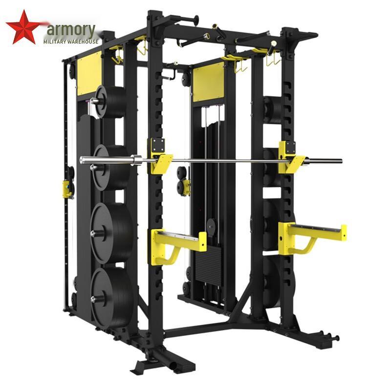 Armory Multi-functional Squat & Fly Trainer