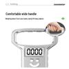 Portable High-Precision Digital Scale (CN Version)
