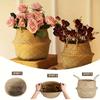 Hand-Woven Vase, Oval Standing Plant, Clothing and Home Decoration Storage Basket, Flower Pot Storage Basket